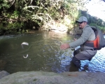 Pescando con Fly Las Pintonas de Arroyo - Truchas Silvestres en México (Parte 3)